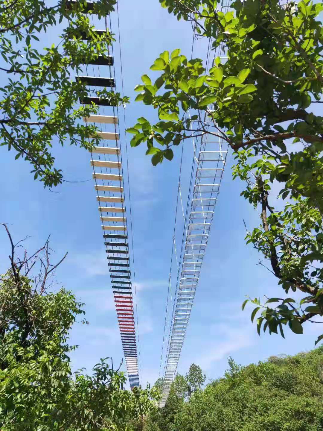 Anhui Step by Step Startling Construction Case